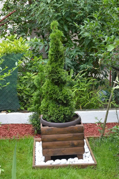 Jardim Casa Sérvio Com Grama Verde Fonte Vasos Flores Pozarevac — Fotografia de Stock