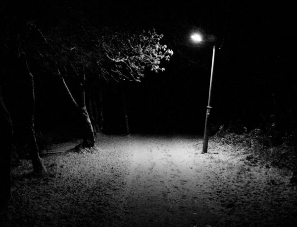 冬には、通り、ランプ ロイヤリティフリーのストック画像