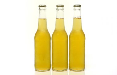 Three clear bottles of beer clipart