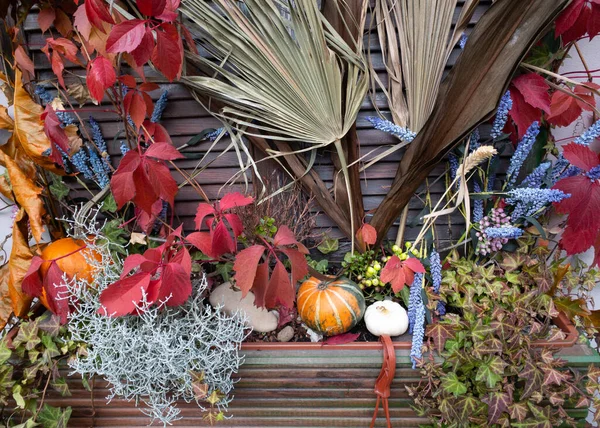 Tökfélék és őszi levelek, az őszi szüret szimbóluma, a Hálaadás, a Mabon szombat és a Halloween ünnep. ősz szezonális természeti háttér — Stock Fotó