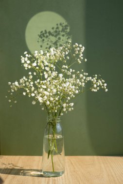 Yeşil zemin üzerinde küçük beyaz çıngıraklı yılan nefesli birkaç dal..