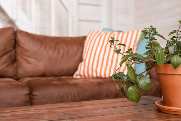 Vieux canapé en cuir marron et fond de maison en bois plantin. Canapé en peau orange vieilli avec oreillers, intérieur à la lumière naturelle du jour — Photo