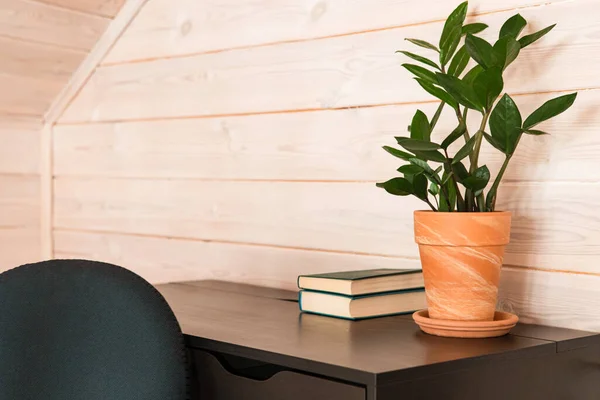 Plante verte, livre sur table dans maison en bois, style moderne. Entreprise, éducation, concept de télétravail. — Photo