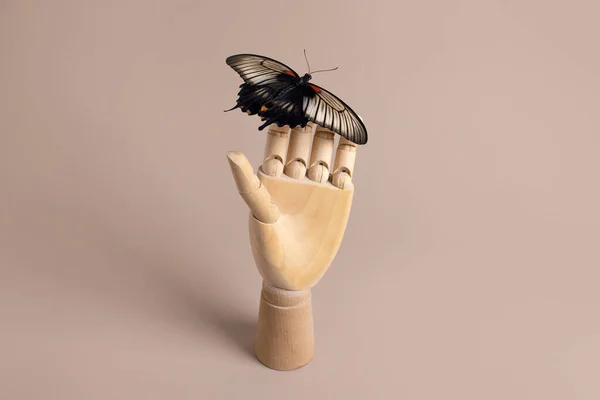 Butterfly papilio lowi still life concept on wooden hand on neutral background, human and wild life with copy space