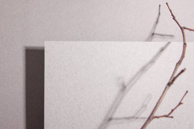 Kağıt arkaplan grisi, mimari çizim. Arka plan bulanık. Soyut gölge arkaplanı. Tasarım şablonları için, metin ve reklam için bir tuval olarak.