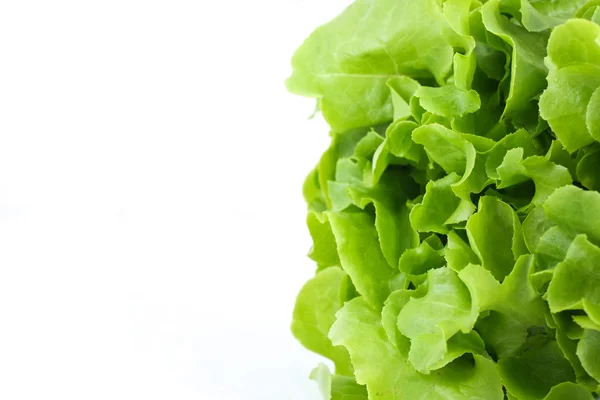 Green salad — Stock Photo, Image