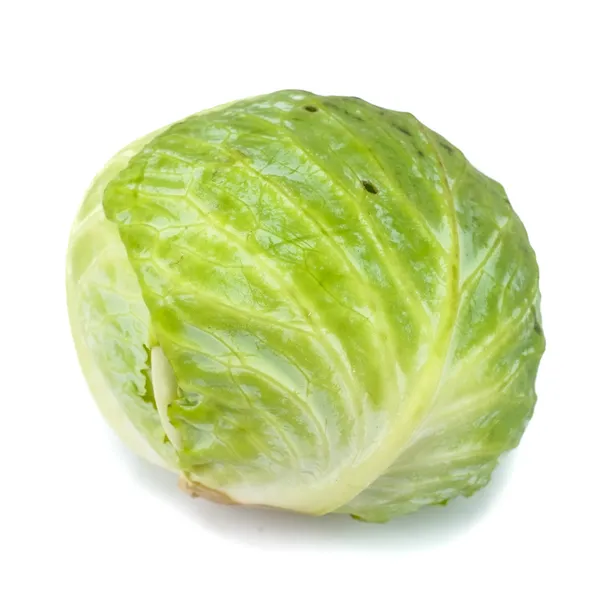 Cabbage isolated on white background — Stock Photo, Image