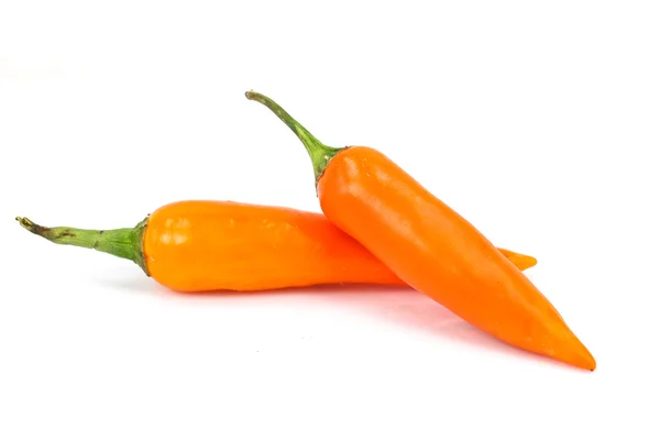 Narancssárga chili — Stock Fotó