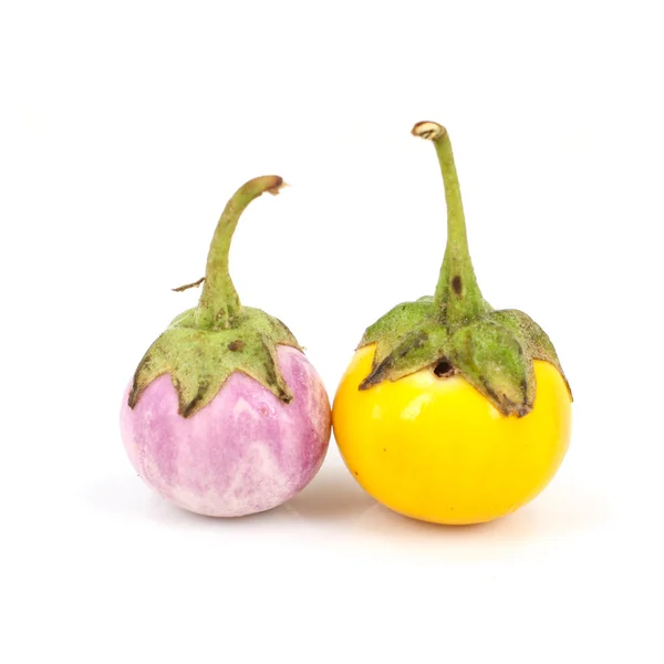 Eggplant on white background — Stock Photo, Image