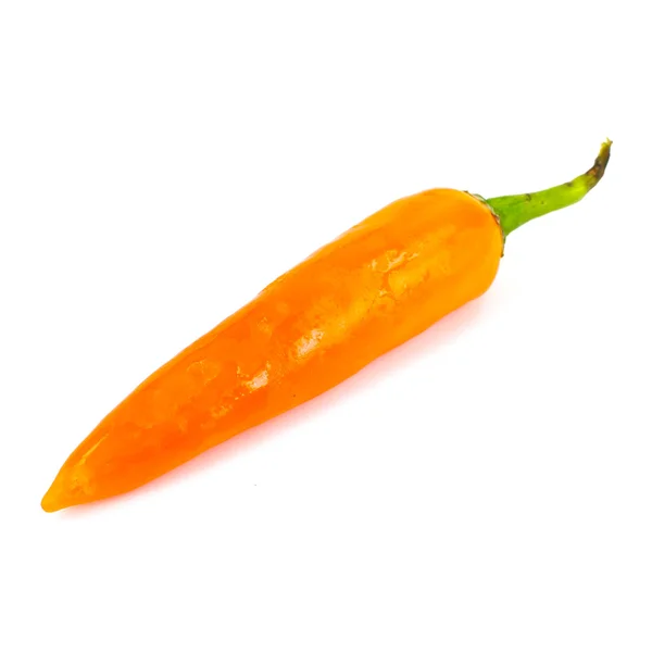 Oranje chili — Stockfoto