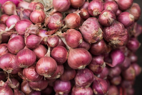 Red onions in plenty — Stock Photo, Image
