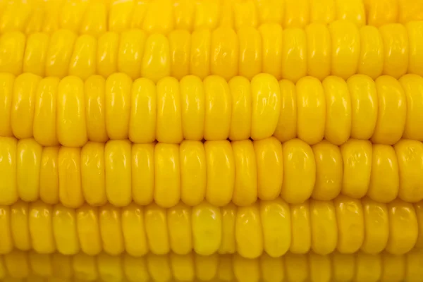 Yellow sweet corn on background — Stock Photo, Image