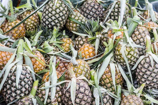 Masse ananas – stockfoto