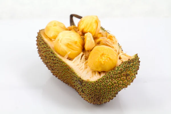 Cempedak fruit Thailand — Stock Photo, Image