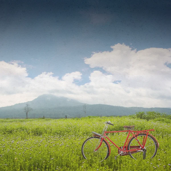 Bicicletta rossa — Foto Stock