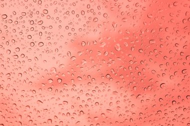 yağmur su damlaları arka plan