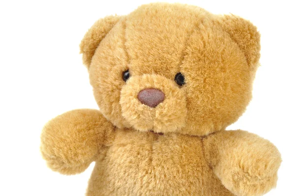 Teddybär — Stockfoto