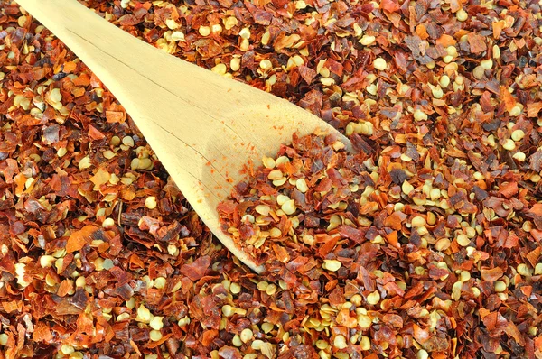 Dried chilli — Stock Photo, Image