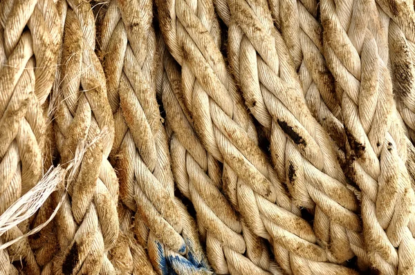 Старая веревка — стоковое фото