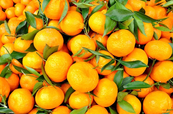 Tangerinas — Fotografia de Stock