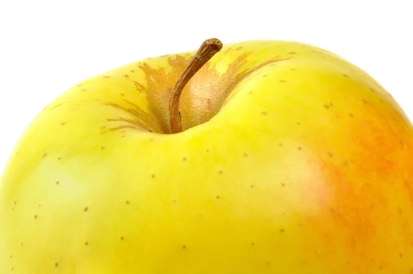 Guldäpple — Stockfoto