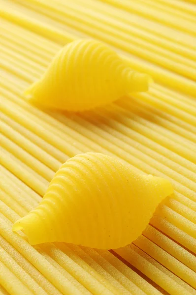 Schelpen en spaghetti gragnano — Stockfoto