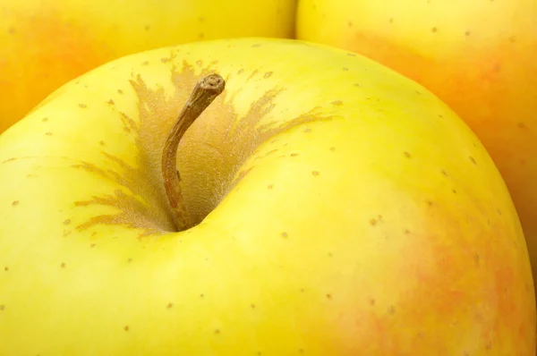 Manzanas doradas típicas de Trentino Alto Adigio, Italia — Foto de Stock