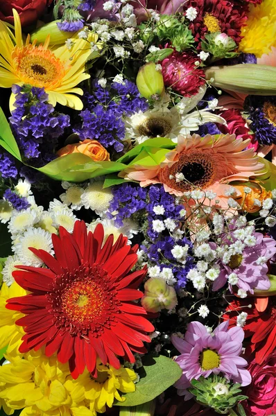 Flowers — Stock Photo, Image