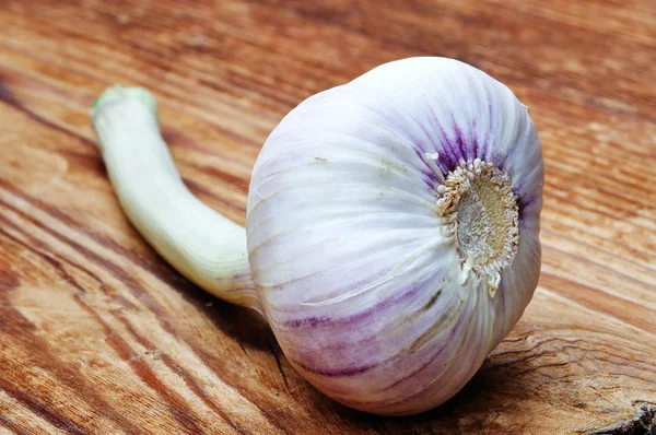 Garlic — Stock Photo, Image