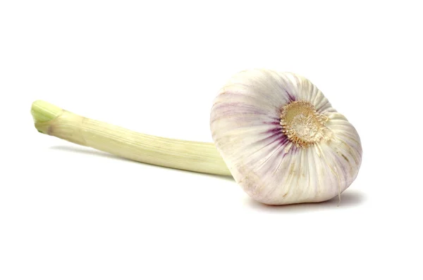 Garlic — Stock Photo, Image