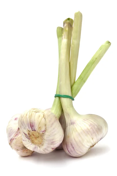 Garlic — Stock Photo, Image