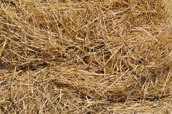 Background bales — Stock Photo, Image