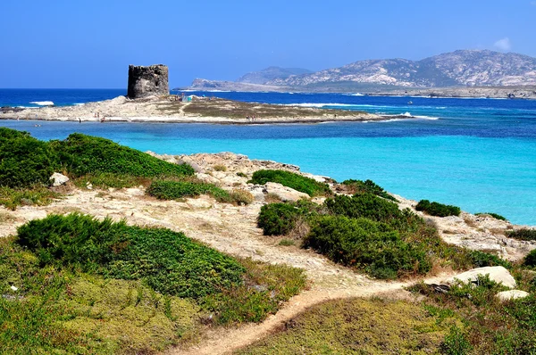Antik watchtower