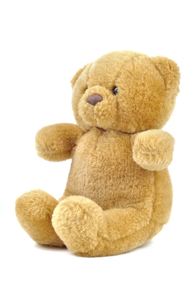 Teddy bear Royalty Free Stock Photos