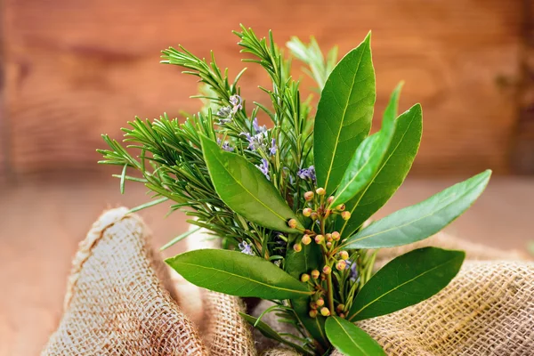 Laurel, rozemarijn en salie — Stockfoto