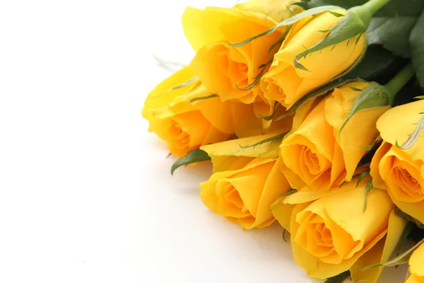 Bouquet of yellow roses on white background — Stock Photo, Image