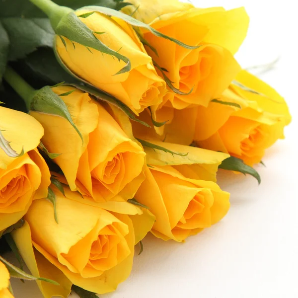Buquê de rosas amarelas no fundo branco — Fotografia de Stock