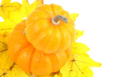 iki yığılmış mini kabak sarı sonbahar yaprakları üzerinde