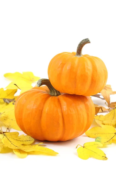 Two stacked mini pumpkins on yellow fall leaves — Stock Photo, Image