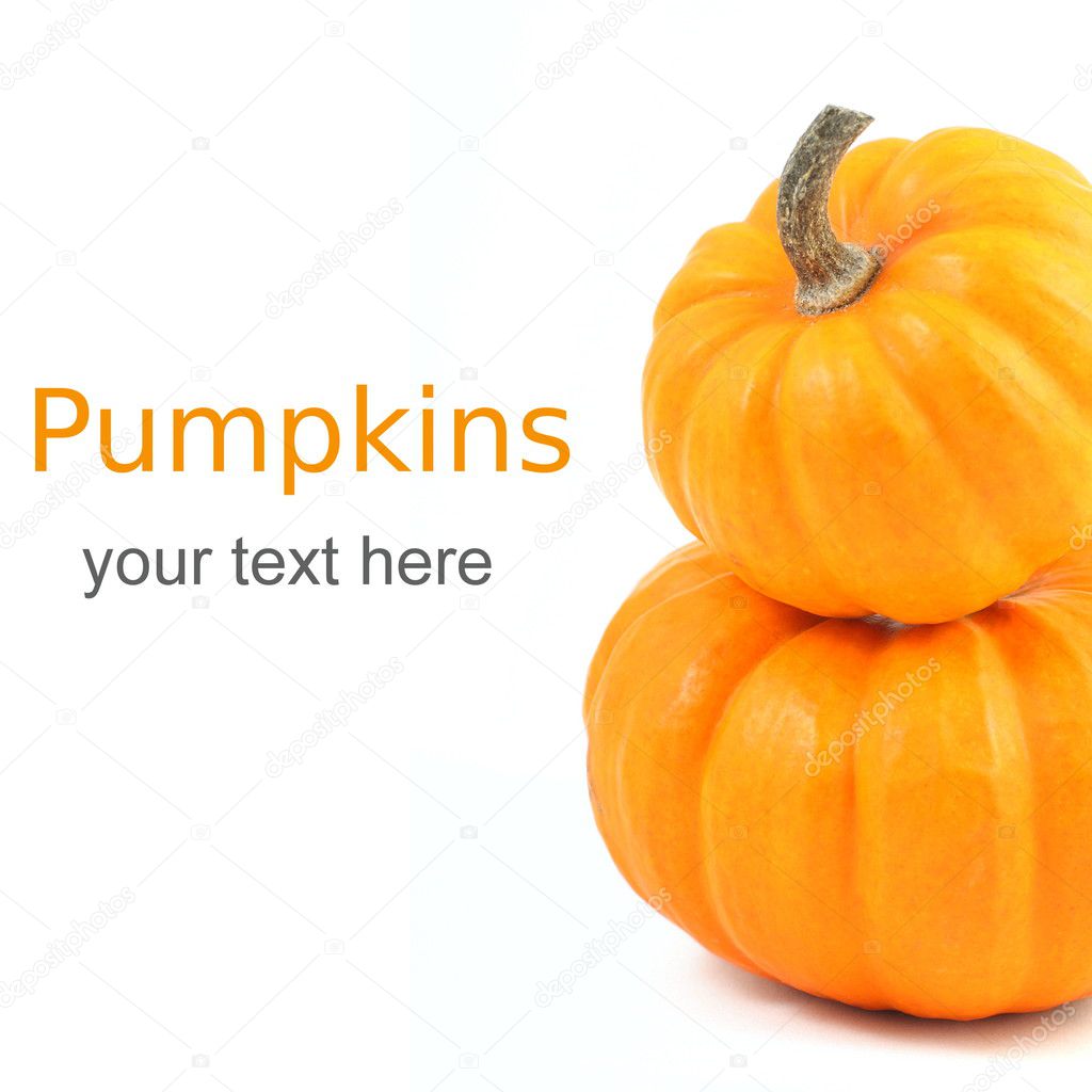 Two stacked mini pumpkins over white with sample text