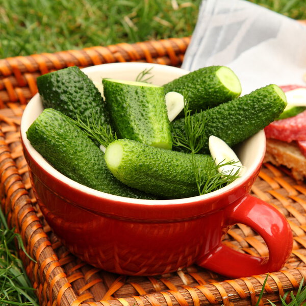 Homemade fresh salted cucumbers in the bowl on wicker tray