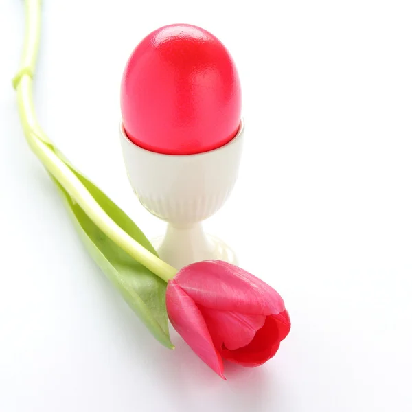 Les oeufs de Pâques colorés et tulip rose sur fond blanc — Zdjęcie stockowe