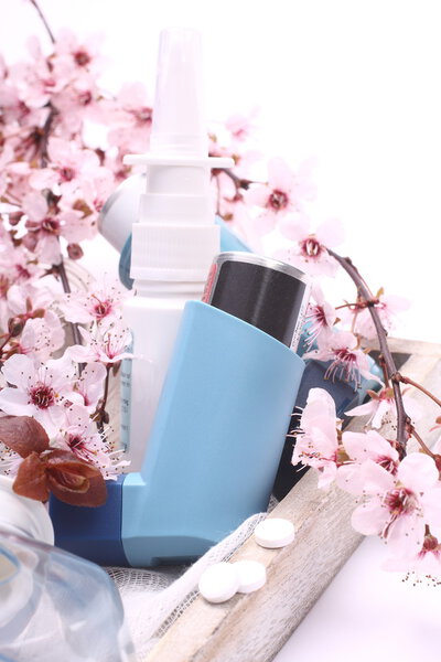 Asthma inhalers with blossoming tree branches on wooden tray over white