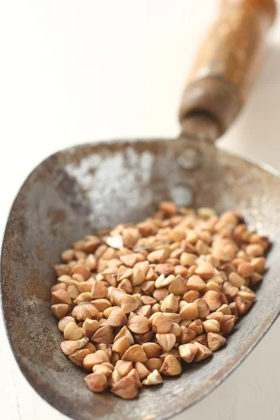 Metal shovel with buckwheat grain on white background — Stock Photo, Image