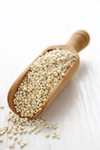 Lopatka s syrového quinoa zrno osiva na bílém pozadí dřevěná — Stock fotografie