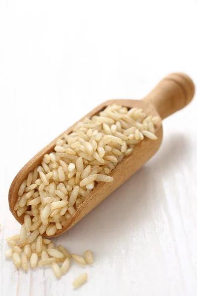 Unpolished rice in a wooden scoop on white background — Stock Photo, Image