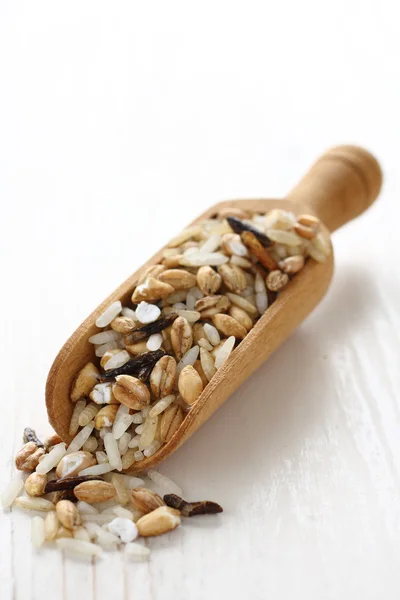 Uncooked multigrain rice in wooden scoop on white wooden background — Stock Photo, Image