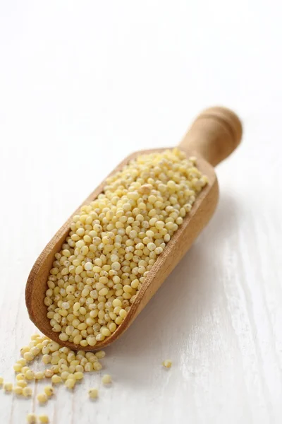 Graine de millet dans une cuillère en bois sur fond blanc — Photo