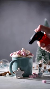 Bir fincan sıcak çikolata ve zencefilli kurabiye.