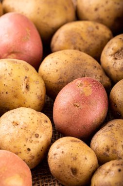 Çiğ organik patates.